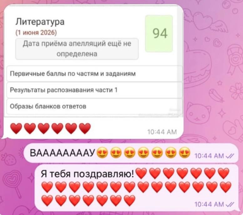 Скриншот результата ЕГЭ по литературе — 94 балла
